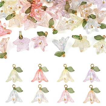 32PCS 8 Colors Transparent Acrylic Pendants, with Shell Pearl Beads and Brass Findings, Lily Flower Charms, Mixed Color, 20x16x12mm, Hole: 3mm
