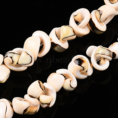 natürliche Spirale Shell Perlen Stränge(SSHEL-G024-02)-4