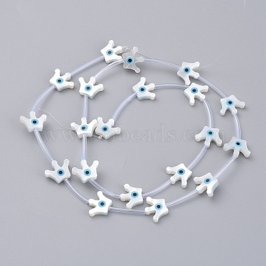 Perlas de concha de nácar de concha blanca natural(X-SSHEL-L018-010)-3