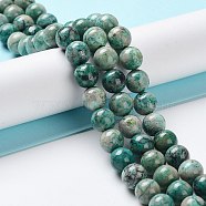 Natural Chrysocolla Beads Strands, Round, 8mm, Hole: 0.6mm, about 48~49pcs/strand, 15.59 inch(39.6cm)(G-C093-A01-02)