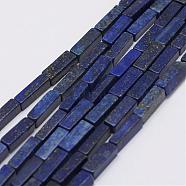 Natural Lapis Lazuli Beads Strands, Dyed, Cuboid, 13x5x5mm, Hole: 1mm, about 29pcs/Strand, 15.3 inch(39cm)(G-E342-11)