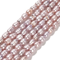 Natural Cultured Freshwater Pearl Beads Strands, Rice, Grade A+, Thistle, 5.5~7x3~3.5x3~3.5mm, Hole: 0.6mm, about 61~71pcs/strand, 13.98~14.06 inch(35.5~35.7cm)(PEAR-E016-128)