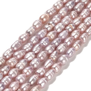 Natural Cultured Freshwater Pearl Beads Strands, Rice, Grade A+, Thistle, 5.5~7x3~3.5x3~3.5mm, Hole: 0.6mm, about 61~71pcs/strand, 13.98~14.06 inch(35.5~35.7cm)