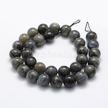 Natural Labradorite Beads Strands(G-P322-31-12mm)-2