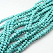 Natural Howlite Round Beads Strands, Dyed, Faceted, Pale Turquoise, 3mm, Hole: 0.5mm, about 135pcs/strand, 15.74 inch(TURQ-L017-3mm-02B)