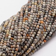 Natural Polychrome Jasper/Picasso Stone/Picasso Jasper Beads Strands, Round, 2mm, Hole: 0.5mm, about 190pcs/strand(G-N0191-01-2mm)