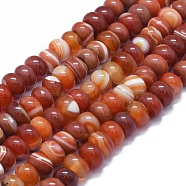 Natural Carnelian Beads Strands, Dyed & Heated, Rondelle, Chocolate, 12~14x7~9mm, Hole: 2mm, about 47~50pcs/strand, 15.7 inch~16.1 inch(40~41cm)(G-I245-68A)