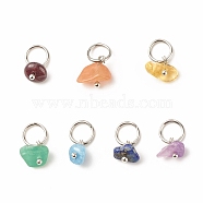 7Pcs 7 styles Natural Stone Charms, Natural Garnet & Red Aventurine & Green Aventurine & Amethyst & Citrine & Aquamarine & Lapis Lazuli, with 304 Stainless Steel Jump Ring, Nuggets, Stainless Steel Color, 14mm, 1pc/style(PALLOY-JF01485-02)
