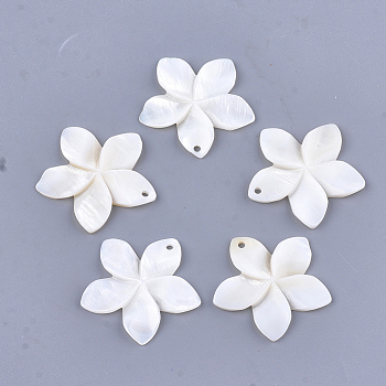 Carved Freshwater Shell Pendants, Flower, Ivory, 31~34.5x32~35.5x3~4mm, Hole: 2mm
