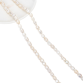 2 Strands Grade B Natural Cultured Freshwater Pearl Beads Strands, with Screw Thread, Rice, Creamy White, 5~6mm, Hole: 1mm, about 53~56pcs/strand, 13.58~13.78 inch(34.5~35cm)