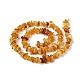 Natural Amber Chip Beads Strands(G-E271-81)-3