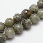 Natural Labradorite Bead Strands, Round, 6mm, Hole: 1mm, about 64pcs/strand, 15.4 inch(G-O155-05A-6mm)