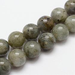 Natural Labradorite Bead Strands, Round, 6mm, Hole: 1mm, about 64pcs/strand, 15.4 inch(G-O155-05A-6mm)