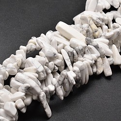 Natural Howlite Chip Beads Strands, 8~30x5~12mm, Hole: 1mm, about 15.3 inch~15.7 inch(G-E271-53)