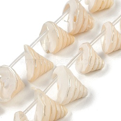 Natural Shell Beads Strands, Circular Cone, White, 12~19x7.5~15mm, Hole: 0.1mm, about 26pcs/strand, 16.73''(42.5cm)(X-SHEL-K009-11)