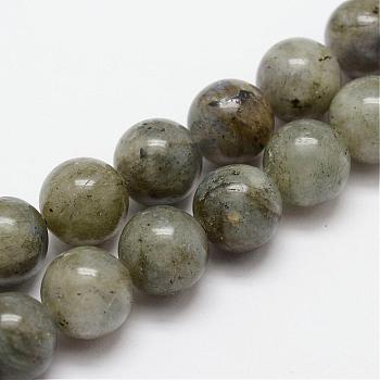 Natural Labradorite Bead Strands, Round, 6mm, Hole: 1mm, about 64pcs/strand, 15.4 inch