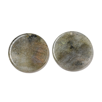 Natural Labradorite Pendants, Flat Round Charms, 29.5~30x3mm, Hole: 1.6mm