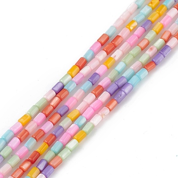 Natural Freshwater Shell Dyed Beads Strands, Column, Colorful, 4.8x3mm, Hole: 0.8mm, about 78pcs/strand, 14.96''(38cm)