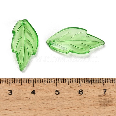 Transparent Acrylic Pendants(AC-CBA5040-01I)-3