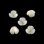 Flower Natural Trochid Shell/Trochus Shell Beads, Beige, 9~10x3mm, Hole: 1.5mm(SSHEL-F290-05B-A)