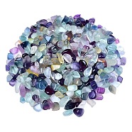 Natural Fluorite Tumbled Chips, for Home Crafts Projects and Flower Pot Fish Tank Decoration, 3~5mm(PW-WGA7DCE-04)