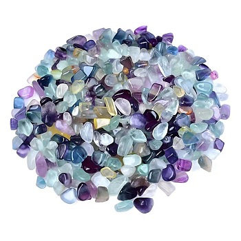 Natural Fluorite Tumbled Chips, for Home Crafts Projects and Flower Pot Fish Tank Decoration, 3~5mm