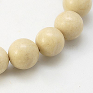 Natural Fossil Beads Strands, Round, 10mm, Hole: 1mm, about 41pcs/strand(G-E110-10mm-2)