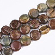 Natural Picasso Stone/Picasso Jasper Beads Strands, Flat Round, 12x4.5~5mm, Hole: 1mm, about 33~34pcs/strand, 15.3 inch~15.7 inch(G-S355-01)