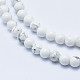 Natural Howlite Beads Strands(G-P353-01-6mm)-3