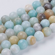 Natural Flower Amazonite Beads, Faceted, Round, 4mm, Hole:0.8~1mm, about 85pcs/strand, 14.5 inch(G-H1431-2)