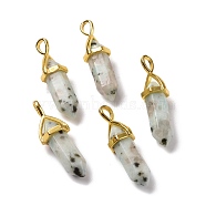 Natural Sesame Jasper Pendants, Faceted, with Golden Tone Brass Findings, Lead free & Cadmium Free, Bullet, 27~30x9~10x7~8mm, Hole: 4x3mm(G-K329-40G)