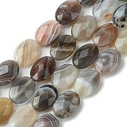 Natural Botswana Beads Strands, Faceted, Oval, 14.5~15x10~10.5x5~5.5mm, Hole: 1mm, about 28pcs/strand, 15.71''(39.9cm)(G-H004-B02-04)