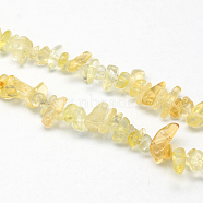 Natural Citrine Stone Bead Strands, Dyed & Heated, Chip, 6~9x6~9x2~4mm, Hole: 1mm, about 240pcs/strand, 34.6 inch(G-R224-04)