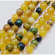 Natural Agate Beads Strands, Dyed, Round, Faceted, Green, Yellow, 8mm, Hole: 1mm, about 48pcs/strand, 14.57 inch(37cm)(G-E469-02-8mm)