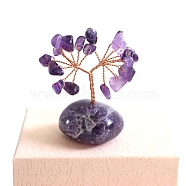 Natural Amethyst Chips Tree of Life Decorations, Copper Wire Feng Shui Energy Stone Gift for Women Men Meditation, 20~50x50~80mm(PW-WG94128-01)