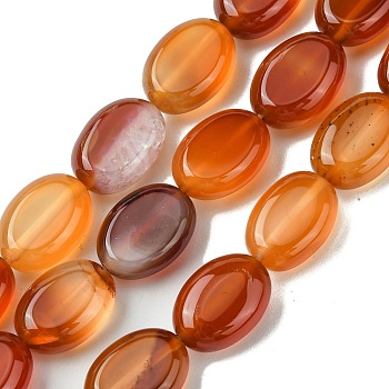 Natural Red Agate(Dyed & Heated) Beads Strands, Flat Oval, 14x10~10.5x6~6.5mm, Hole: 1mm, about 29pcs/strand, 15.94''(40.5cm)