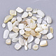 Freshwater Shell Beads(SHEL-S266-11)-2