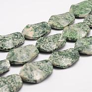 Natural Green Spot Jasper Bead Strands, Twisted Oval, 34x24x7mm, Hole: 2mm; about 12pcs/strand, 16.1inches(G-K153-K02)
