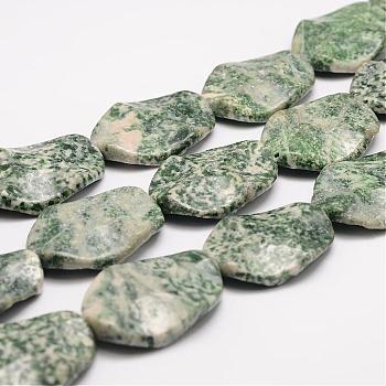 Natural Green Spot Jasper Bead Strands, Twisted Oval, 34x24x7mm, Hole: 2mm, about 12pcs/strand, 16.1 inch