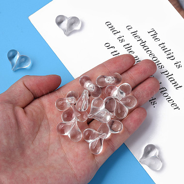 abalor&iacute;os de acr&iacute;lico transparente(X1-MACR-S373-70-B01)-3