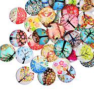 50Pcs Tree of Life Printed Half Round/Dome Glass Cabochons, Mixed Color, 25x7mm(GGLA-SZ0001-27)