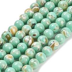 Assembled Synthetic Stone and Trochus Shell Beads Strands, Dyed, Round, Aquamarine, 6~6.5mm, Hole: 0.8mm, about 64pcs/strand, 15.47~15.55''(39.3~39.5cm)(G-B128-08B-02)