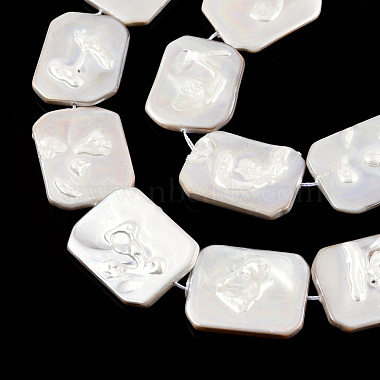 Placage de brins de perles de coquille d'eau douce naturelles(SHEL-N026-223)-3