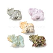 Elephant Natural Gemstone Figurine Display Decoration, for Home Office Tabletop, 36~41x29~32x19~21mm(G-F737-02B)