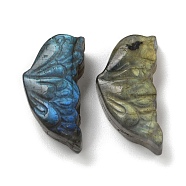 Natural Labradorite Carved Cabochons, Butterfly Wing, 20~21.5x11.5x6.5mm(G-C152-03B)