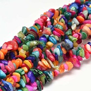 Natural Chip Dyed Shell Bead Strands, Shell Shards, Colorful, 5~14x5~10mm, Hole: 1mm, about 33.85 inch(X-G-L454-10)