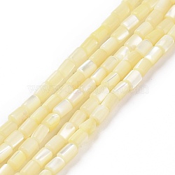 Natural Trochus Shell Beads Strands, Dyed, Column, Light Goldenrod Yellow, 5x3mm, Hole: 0.8mm, about 82~83pcs/strand, 15.63''(39.7cm)(SSHEL-H070-01B)