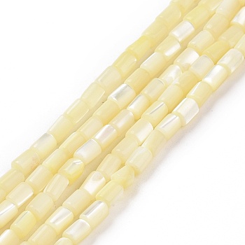 Natural Trochus Shell Beads Strands, Dyed, Column, Light Goldenrod Yellow, 5x3mm, Hole: 0.8mm, about 82~83pcs/strand, 15.63''(39.7cm)