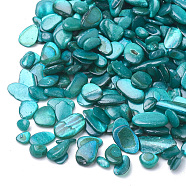 Shell Beads, No Hole Beads, Dyed, Chip, Dark Cyan, 1~15x1~15x0.5~5mm(X-SHEL-R020-07)
