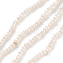 Natural Cultured Freshwater Pearl Beads Strands, Potato, Old Lace, 1.8~2.2mm, Hole: 0.5mm, about 95~97pcs/strand, 7.09~7.28 inch(18~18.5cm)(PEAR-C003-03)